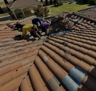 Roof Maintenance Pros